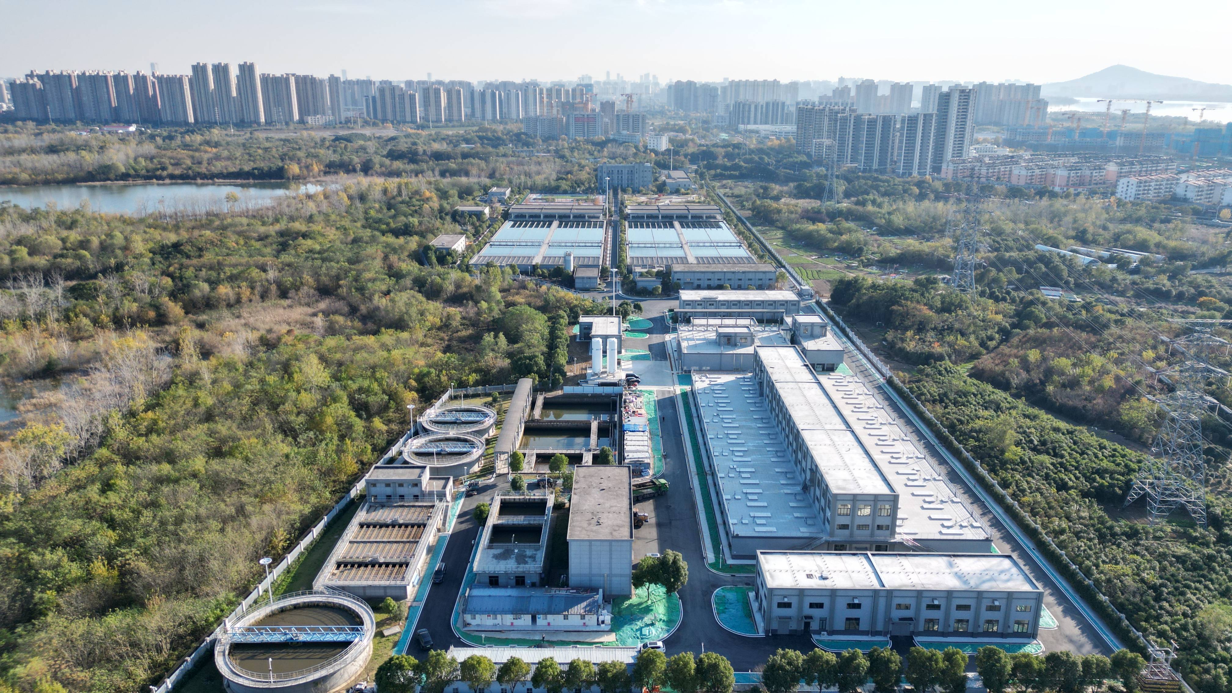 丽水市合肥专业企业价值增长(合肥市重点企业产业目录)