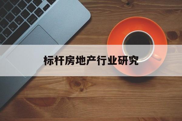 丽水市标杆房地产行业研究(房地产领域的标杆人物)