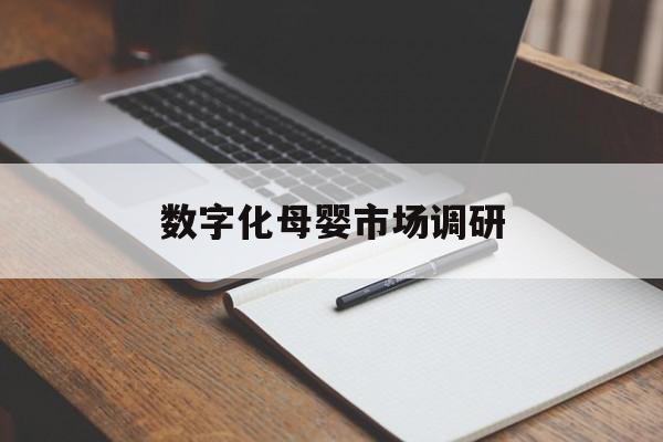 丽水市数字化母婴市场调研(数字化母婴市场调研报告)